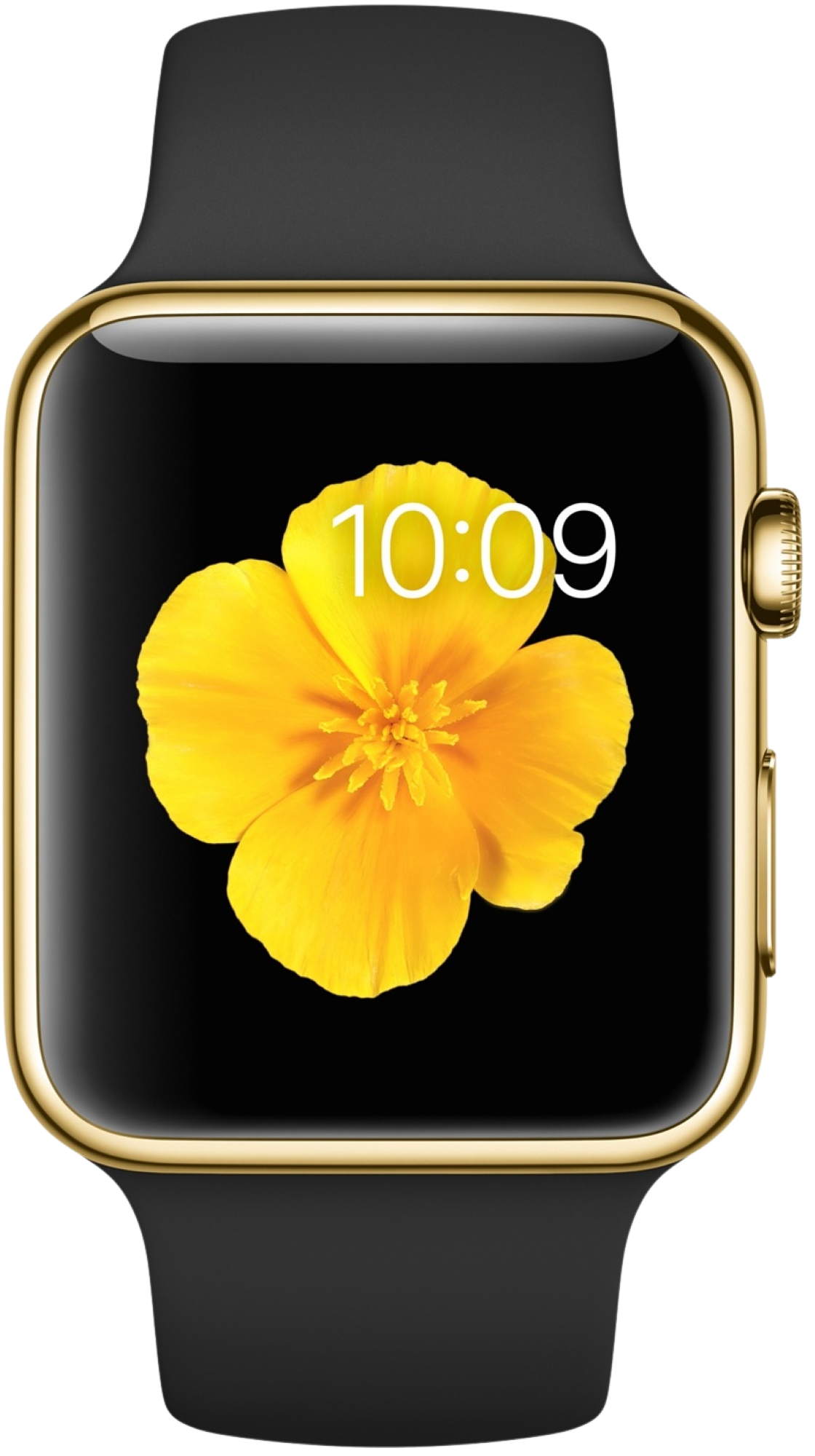 Apple Watch Edition