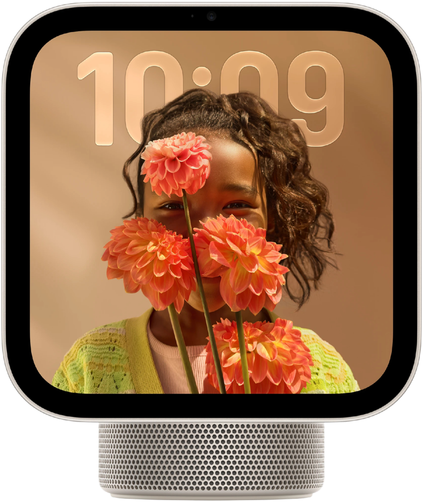 Apple HomeView