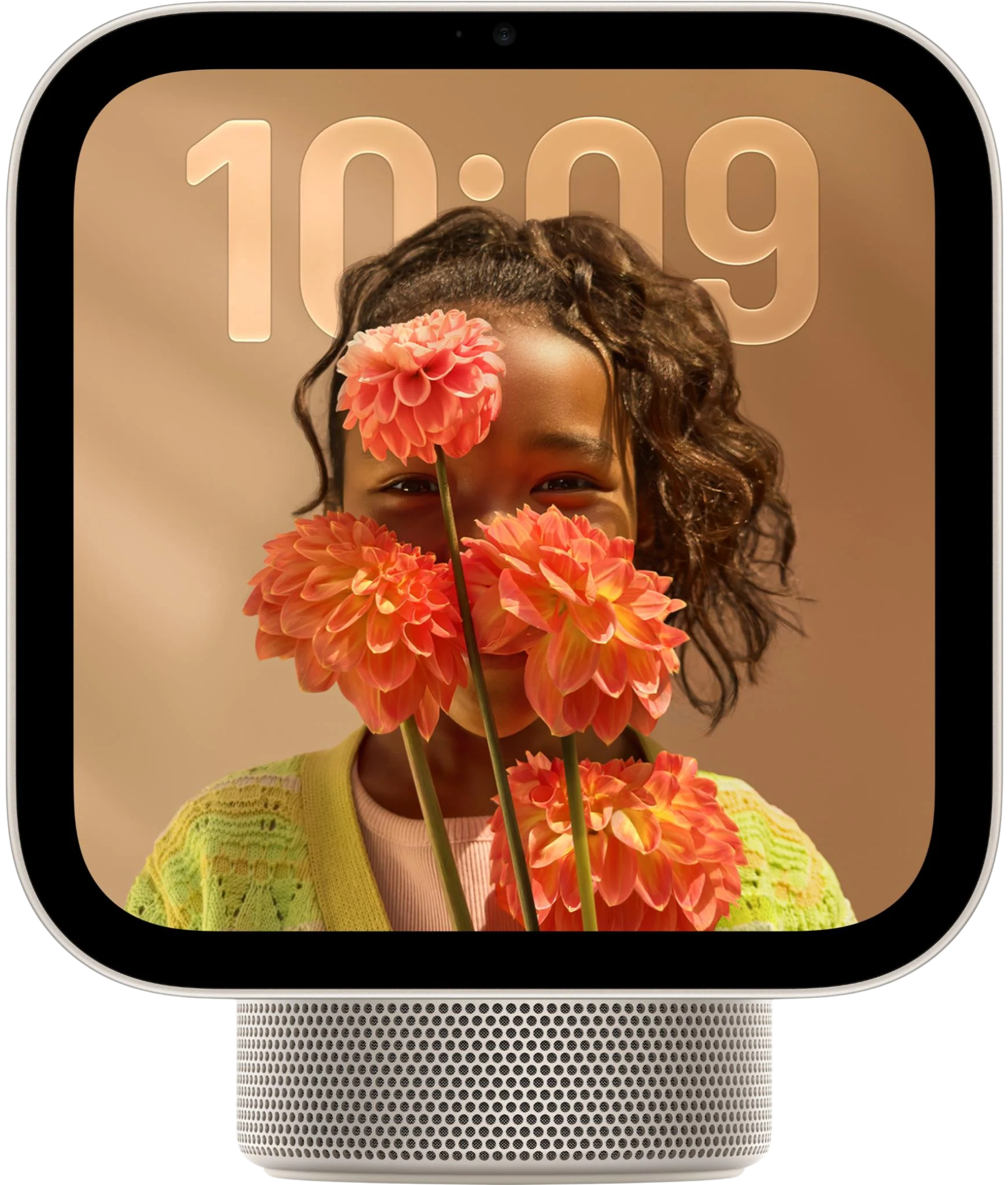 Apple HomeView